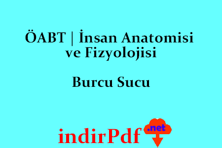 İnsan Anatomisi ve Fizyolojisi