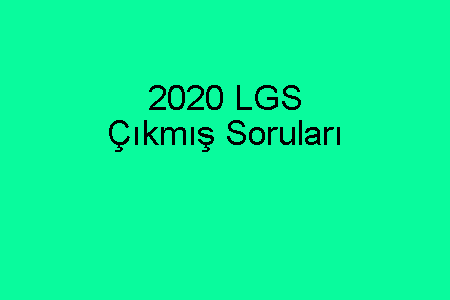 2020 LGS Çıkmış Soruları