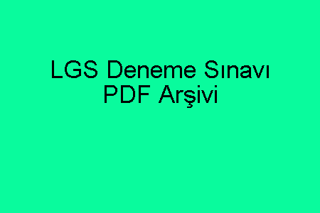 LGS Deneme Sınavı PDF İndir