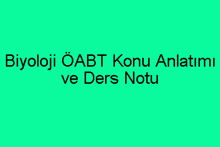 Biyoloji ÖABT Konu Anlatımı ve Ders Notu