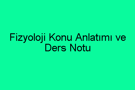 Fizyoloji Konu Anlatımı ve Ders Notu