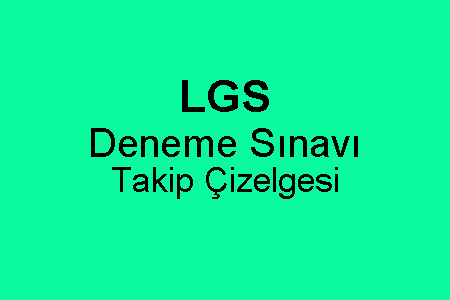 LGS Deneme Sınavı Takip Çizelgesi