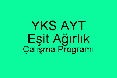 YKS AYT Eşit Ağırlık Çalışma Programı