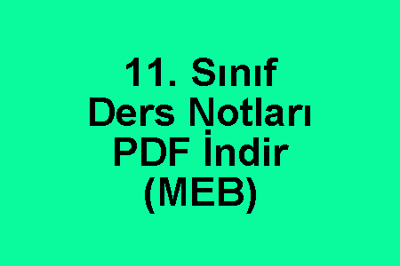 11. Sınıf Ders Notları PDF İndir