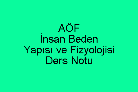 AÖF İnsan Beden Yapısı ve Fizyolojisi Ders Notu