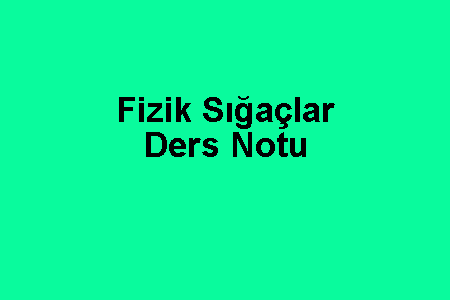 Fizik Sığaçlar Ders Notu