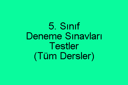 5. Sınıf Deneme Sınavları