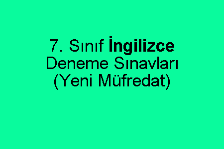 7. Sınıf İngilizce Deneme